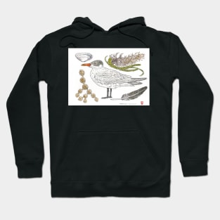 Moana Beach June/July 2021 Bioscape Hoodie